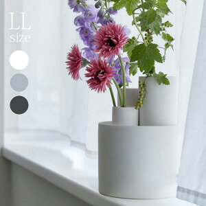 TAMAKI AYA O LL[ԕr Ԃт т t[x[X x[X ԓ ԓu CeA Ԋ    t[ ϗtA  hCt[  IV  ] 