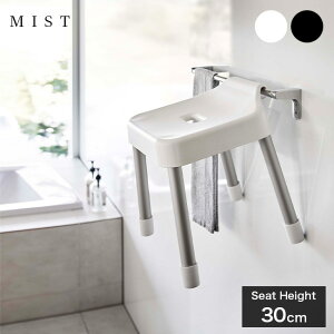 MIST ~Xg |CCX SH30[C֎q  C  CX ֎q ӂ C tCX ǖʎ[ oX [ oX[ [ oX`FA  􂢂₷  30cm R