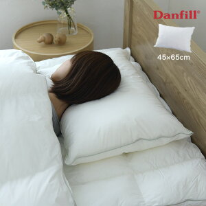 Danfill _tB tBx[s[ 45×65cm JPA221[ 􂦂 @ ӂӂ zedl ܂ ze  dl k f}[N EHbVu  Q Vv j  fB[X