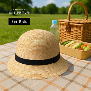 yTzcXqX Gland O UK-H010-GLBK[Xq LbY q Rt St j̎q ̎q 킢 悯 qǂ   Xq  UV xr[ 2 3 ۈ牀 { qp q