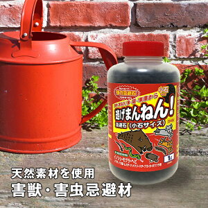 VR͊ ɂ܂˂ ΃^Cv[Qb Q    C^` ^kL ǔL CmVV Jf SLu N ΍ Qb Q Qb΍ Q΍   V䗠 ] 