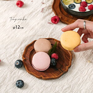 Tray ։ S 12cm[M  ؐ v[g M ؂̎M M H  킢 Ԃ̌`  ` َq t sNjbN Ԍ Lv Lb` H gC g[ \[T[] [