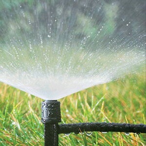 yTzWATER GARDEN EH[^[K[f ƒpZbg 10ؗp SE-01[ƒ؉(΂̃J[eEւ܁EL[ES[)K[fjOɃ^C}[t̉ƒp̐@ ^C}[