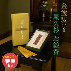 yTzv K11863[v   Y  A}   XeBbN CZX    p p  Mtg   X ؂̍ 