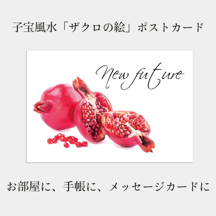 楽天市場 ザクロの絵 グラフィックポストカード 子宝 風水 ざくろのイラスト はがき ザクロ 画 曙工芸 桐箱屋さん