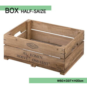 {bNX n[tTCY yLFS-475BR W50×D37×H20cmz VR X^bLO BOX [ XgbJ[ a v[g