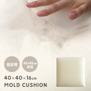 NbV g  [hNbV/16cm NbVJo[(45×45cm)Ή k[hNbV ᔽ   Vv 􂦂 ւɂ NbV a v[g