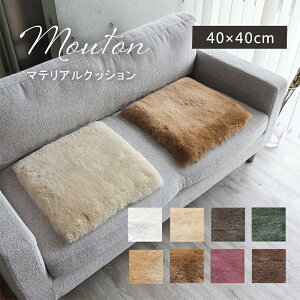 [g  NbV  r j` }eANbV 40×40cm {H ɂ ۂۂ `FApbh }bg  n E[ Vv H ~ VRf VR t@