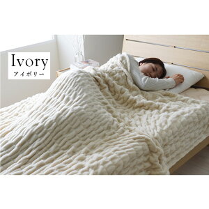 Q ѕz Ђ| n[tPbg キ ( 70×120cm / 100×140cm / 140×200cm ) tl GȂ߂炩 {[  y 􂦂 @OK ʋN Lk VOTCY O[ AC