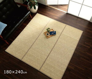 �|���O �| �J�[�y�b�g �o���u�[���O ( 180×180cm ��2�� / 180×240cm ��3�� ) �O�~ ���O �Ђ��� �⊴ �܂��� ���[ ���� �h�L ����ɂ��� �X�^�C���b�V�� ������� �m�� �l�C�r�[ �A�C�{���[ CX���N