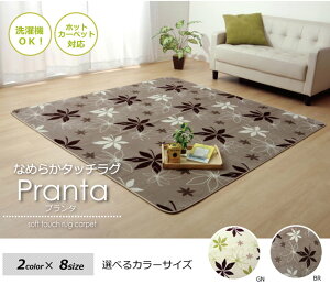 ���O �J�[�y�b�g 2�� 2�� ��185×185cm �����` ���[�t�� �i�`�������� �u���E�� �O���[�� �􂦂� �R�� �h�L ���n ����~�ߕt�� ����Ȃ� �Ȃ߂炩 �ӂ�ӂ� �y�� �z�b�g�J�[�y�b�g�Ή� �􂦂�J