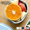 保冷 フルーツケース デザートケース 小さい ランチボックス 保冷剤一体型 GEL-COOL dome Sサイズ ジェルクール ドー…