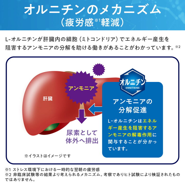 楽天市場】【ポイント5倍！7/4 20:00〜7/11 1:59】【送料無料】30日分 