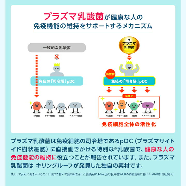 楽天市場】【5/1 9:59まで！エントリーでポイント5倍】【送料無料】約 