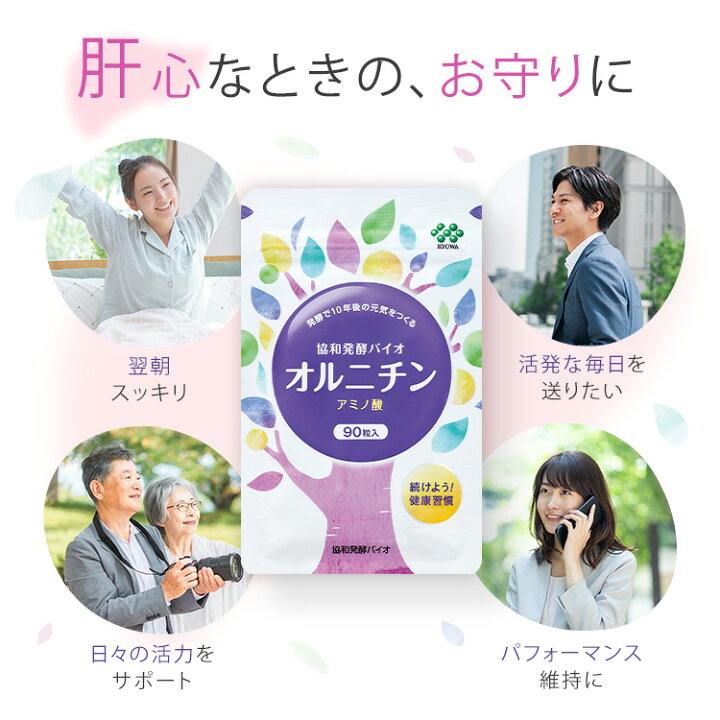 楽天市場】【5/1 9:59まで！エントリーでポイント5倍】【送料無料】約 