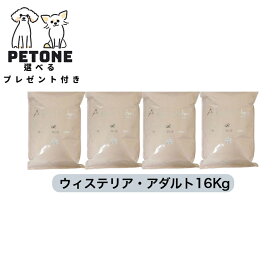 【【ポイント10倍＆クーポン配布中】】賞味期限2月28日　ウィステリアアダルト 16kg アーガイルディッシュ 正規販売店 オーガニック 成犬 フード ドッグフード 選べる プレゼント ウィステリア