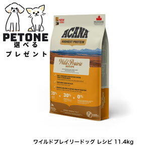 AJi nCGXgveC ChvC[hbO Vs 11.4kg ACANA hbOt[h ̂͂ Ki hCt[h h{H Y