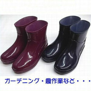 ƃu[c V[g Cu[c fB[X LB8406 fB[X wl ƌC JC C Sh | K[fjO x_ ƒ؉