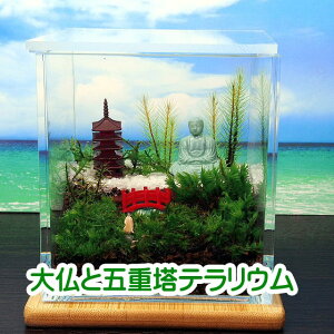 啧ƌ܏d L[u ۃeE Lbgꎮ ϗtA  ~j eE Lbg RPE RP ۃeE ۃE ANAE ANAeE | nCh K