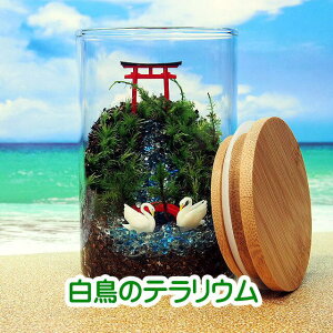  LjX^[ ۃeE Lbgꎮ ϗtA  ~j eE Lbg RPE RP ۃeE ۃE ANAE ANAeE | nCh K[f