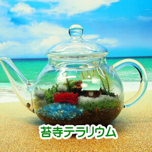 ێ eB[|bg ۃeE Lbgꎮ ϗtA  ~j eE Lbg RPE RP ۃeE ۃE ANAE ANAeE | nCh K[f