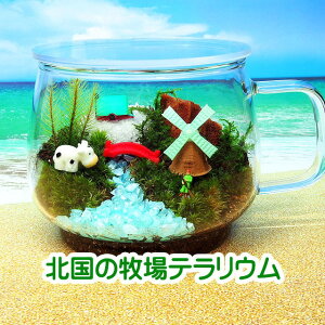 k̖q eB[Jbv ۃeE Lbgꎮ ϗtA  ~j eE Lbg RPE RP ۃeE ۃE ANAE ANAeE | nCh 