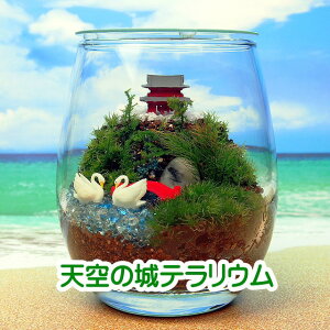 V̏ Xvbg ۃeE Lbgꎮ ϗtA  ~j eE Lbg RPE RP ۃeE ۃE ANAE ANAeE | nCh K