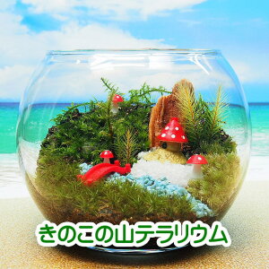 ̂̎R  ۃeE Lbgꎮ ϗtA  ~j eE Lbg RPE RP ۃeE ۃE ANAE ANAeE | nCh K[f