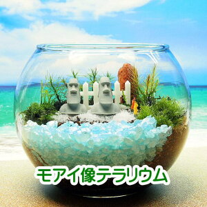 AC  ۃeE Lbgꎮ ϗtA  ~j eE Lbg RPE RP ۃeE ۃE ANAE ANAeE | nCh K[fj