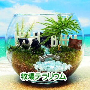 q REm}lOT ۃeE Lbgꎮ ϗtA  ~j eE Lbg RPE RP ۃeE ۃE ANAE ANAeE | nCh