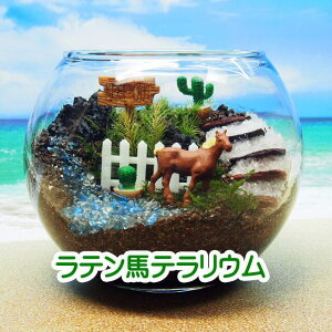 nƃT{e ۃeE Lbgꎮ ϗtA  ~j eE Lbg RPE RP ۃeE ۃE ANAE ANAeE | nCh K[fjO