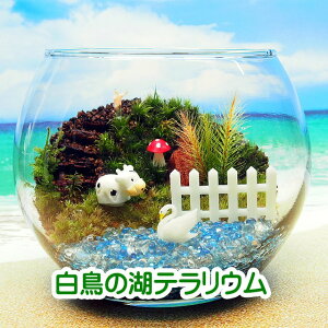 Ɣ̌ ۃeE Lbgꎮ ϗtA  ~j eE Lbg RPE RP ۃeE ۃE ANAE ANAeE | nCh K[fjO