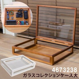 楽天市場 木箱 ガラス ケースの通販
