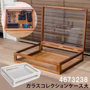 KX RNV P[X@ [ fBXvC {bNX AeB[N  P[X ؔ TJx4673238