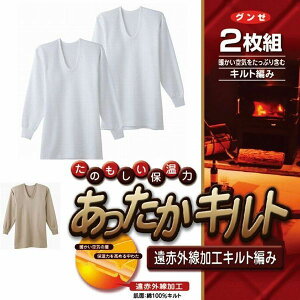 2g O[ ۉ Lg RP63102 Y am UCi[ 100 ԊOH ۉ ۉ   Vc   GUNZE H ~ j