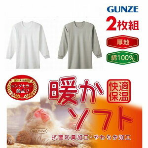 O[  ێ 2g g\tg RP6508A 100 \tg X[X am Y  Ci[Vc H~@RۖhLH 炩H