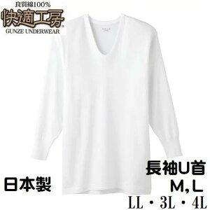 O[ am MEL ELLE3LE4L U Vc KH[ KQ3010 Y Ci[  100 { i[ցj傫TCY