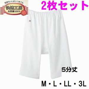 2枚セット グンゼ 婦人 肌着 M・L ・LL・3L 5分丈パンティー パンツ KQ3066 快適工房 レディース インナー 肌着 綿100% 日本製 大きいサイズ 白 ホワイト カームベージュ ライトピンク