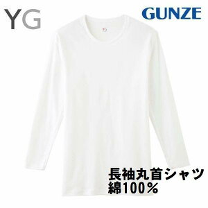 YG Vc ێVc n Ci[  am Y 100 O[  YV0011V