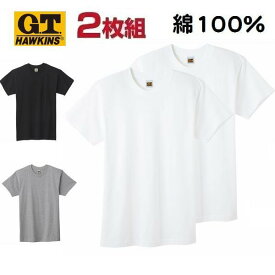 2枚組 半袖 Tシャツ クルーネック 丸首 無地 カラー メンズ 紳士綿100％ グンゼ GTホーキンス インナー 肌着 HK10132
