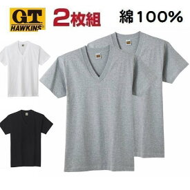 2枚組 Vネック 半袖 Tシャツ 無地 カラー 紳士 メンズ 綿100％ グンゼ GTホーキンス インナー 肌着 HK10152