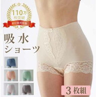 3枚組 軽失禁 パンツ 女性用 尿漏れ用 レースショーツ WK310 シルエットすっきり 30cc ちょい漏れ レディ…