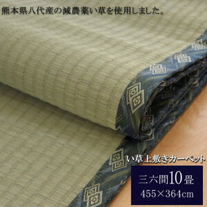   O }bg ~ J[ybg wwx OZ10i455×364cmj ނ  D Ă\hh~ v ϋv Q rO  bNX 났  a _o