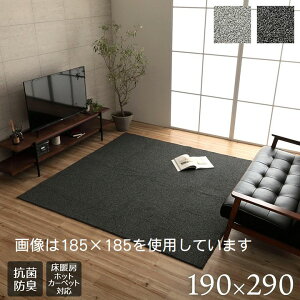 O J[ybg }bg O~ 190×290cm ` e[u  [vpC   RۖhL I[o[bN ɂH g[ zbgJ[ybgΉ O[3985959ub