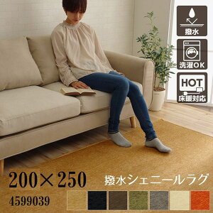 O J[ybg O~ 􂦂 n J[ イ 200×250cm zbgJ[ybgΉ H CPqR x[W4599039u[4599139uE4599239O[4599339O[4599439AC{[45995