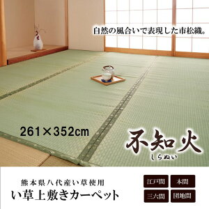  J[ybg Y   ~ sD wsm΁x ]ˊ6i261×352cmj F{YCgpCPqR6300136