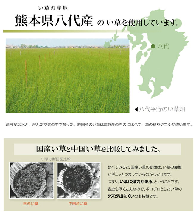 楽天市場】純国産 い草 上敷き カーペット マット 畳 ラグ 市松織 『F不知火』 三六間4.5畳(約273×273cm) 裏:ウレタン張り 熊本県 八代産 イ草 使用 イケヒコ 6305144 : アジアン衣料雑貨きりんかん