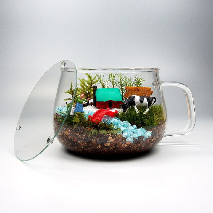 楽天市場】農場 苔テラリウム 手作りキット 一式 ティーカップ 観葉植物 おしゃれ ミニ テラリウム キット コケリウム 苔 コケ 苔テラリウム 苔リウム アクアリウム アクアテラリウム 園芸 ハイド ガーデニング グリーン インテリア 緑 苔盆栽 癒し moss 初心者 パック ... 楽天市場】農場 苔テラリウム 手作りキット 一式 ティーカップ 観葉植物 おしゃれ ミニ テラリウム キット コケリウム 苔 コケ 苔テラリウム 苔リウム アクアリウム アクアテラリウム 園芸 ハイド ガーデニング グリーン インテリア 緑 苔盆栽 癒し moss 初心者 パック ...