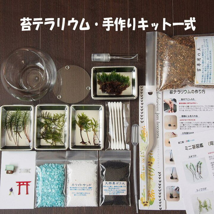 楽天市場】農場 苔テラリウム 手作りキット 一式 ティーカップ 観葉植物 おしゃれ ミニ テラリウム キット コケリウム 苔 コケ 苔テラリウム 苔リウム アクアリウム アクアテラリウム 園芸 ハイド ガーデニング グリーン インテリア 緑 苔盆栽 癒し moss 初心者 パック ... 楽天市場】農場 苔テラリウム 手作りキット 一式 ティーカップ 観葉植物 おしゃれ ミニ テラリウム キット コケリウム 苔 コケ 苔テラリウム 苔リウム アクアリウム アクアテラリウム 園芸 ハイド ガーデニング グリーン インテリア 緑 苔盆栽 癒し moss 初心者 パック ...