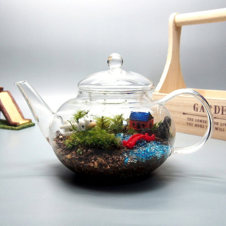 楽天市場 苔テラリウム 手作りキット 一式 ティーポット 観葉植物 おしゃれ ミニ テラリウム キット コケリウム 苔 コケ 苔テラリウム 苔リウム アクアリウム アクアテラリウム 園芸 ハイド ガーデニング グリーン インテリア 緑 苔盆栽 癒し Moss 初心者 父の日 敬老の
